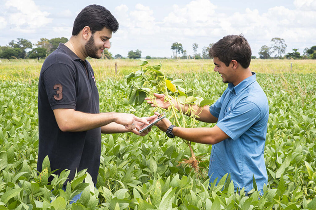 Curso de Agronomia: como é, quantos tempo dura e valores