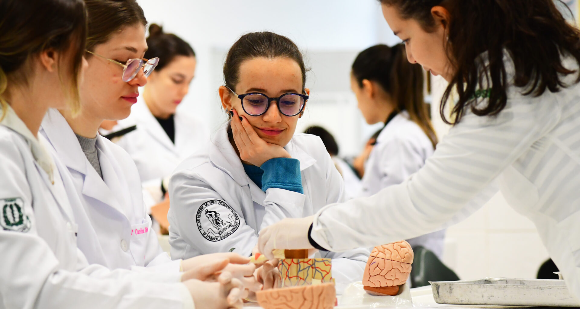 Estudantes de medicina da Unoeste em aula prática, analisando modelos anatômicos do cérebro humano em um laboratório, demonstrando concentração e trabalho em equipe.