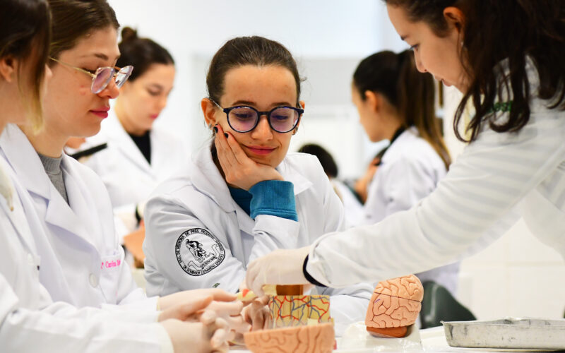 Estudantes de medicina da Unoeste em aula prática, analisando modelos anatômicos do cérebro humano em um laboratório, demonstrando concentração e trabalho em equipe.