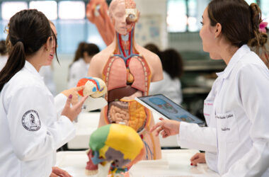 Estudantes de Medicina em aula prática de anatomia observam modelos do cérebro e do corpo humano em laboratório.