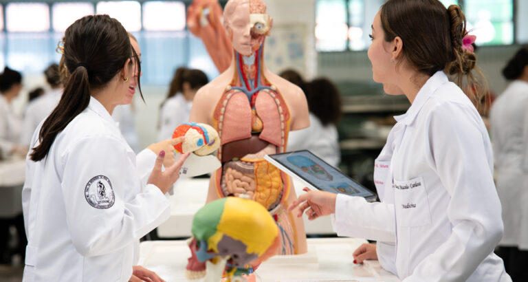 Estudantes de Medicina em aula prática de anatomia observam modelos do cérebro e do corpo humano em laboratório.