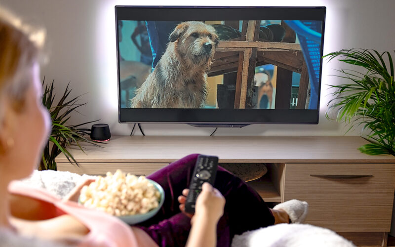 Mulher sentada em uma poltrona aconchegante, segurando um controle remoto e uma tigela de pipoca, assistindo a um filme de cachorro em uma TV de tela grande. A cena mostra um cachorro em destaque na tela, enquanto o ambiente ao redor é decorado com plantas e móveis de madeira, criando uma atmosfera acolhedora e relaxante.