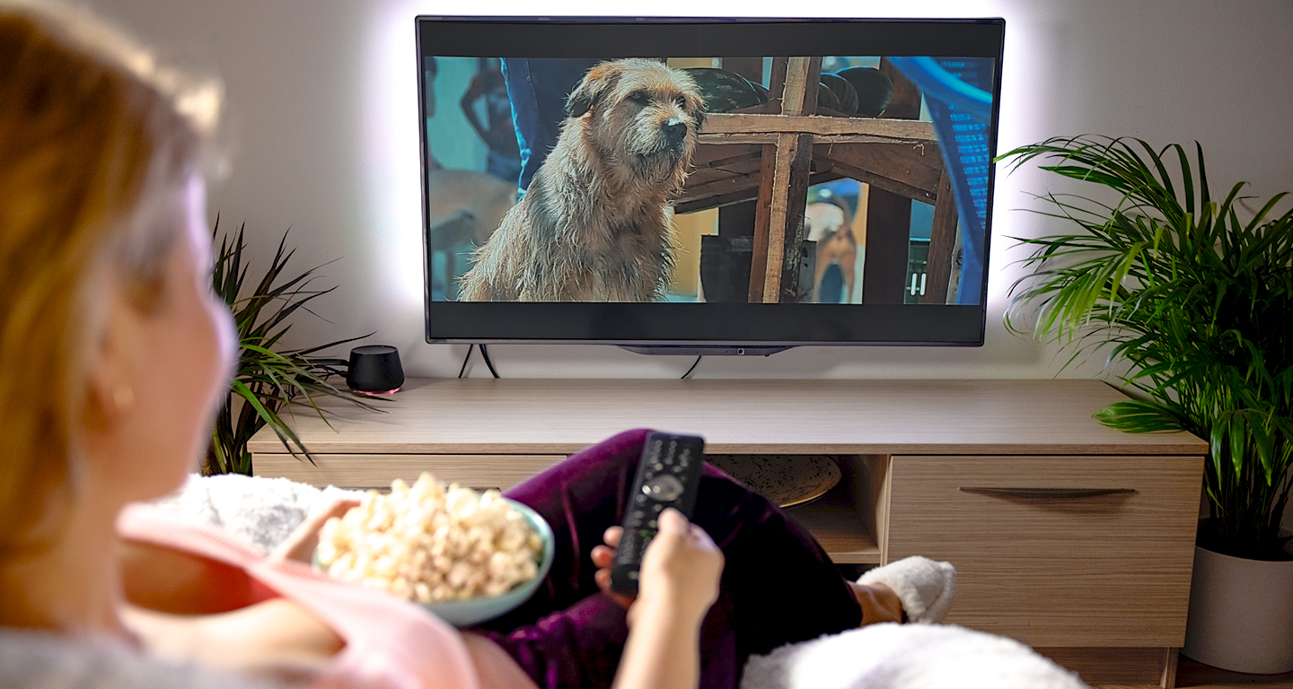 Mulher sentada em uma poltrona aconchegante, segurando um controle remoto e uma tigela de pipoca, assistindo a um filme de cachorro em uma TV de tela grande. A cena mostra um cachorro em destaque na tela, enquanto o ambiente ao redor é decorado com plantas e móveis de madeira, criando uma atmosfera acolhedora e relaxante.