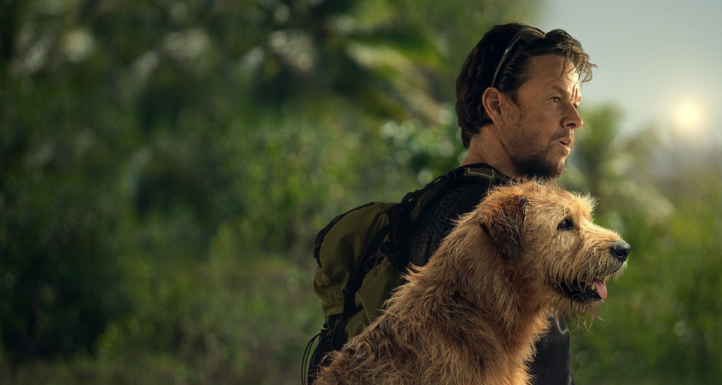 Homem e cachorro do filme Uma prova de coragem.