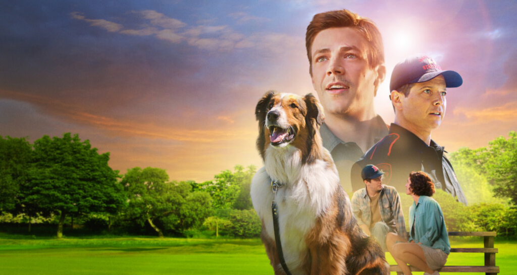 Um pôster do filme Resgate de Ruby. O pôster apresenta um cachorro (Ruby) e três pessoas (Dan, Matt e Melissa) em um parque. O céu está alaranjado e amarelo ao fundo.