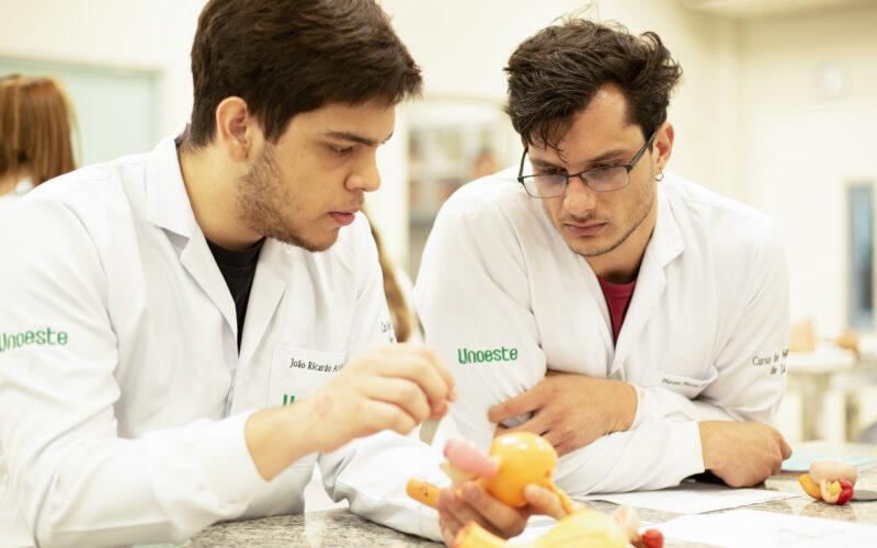 Estudantes de Medicina da Unoeste analisam modelo anatômico em aula prática, discutindo estruturas do corpo humano em laboratório.