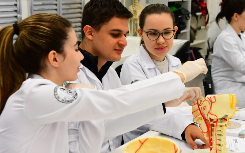 Três estudantes de medicina da Unoeste, usando jalecos brancos e luvas, analisam um modelo anatômico de crânio com nervos e vasos sanguíneos destacados em vermelho e amarelo. Eles estão em uma sala de aula equipada com materiais de estudo, livros e outros alunos ao fundo, demonstrando um ambiente de aprendizado prático.
