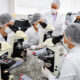 Estudantes do curso de Biomedicina da Unoeste realizam atividades práticas de análises clínicas em laboratório moderno, utilizando microscópios e aplicando técnicas laboratoriais essenciais para a formação em uma das principais áreas da saúde.