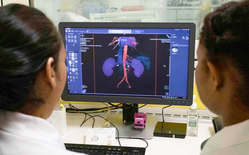 Estudantes de Biomedicina da Unoeste analisam imagens tridimensionais de exames em um computador durante estágio prático de diagnóstico por imagem, observando detalhes anatômicos com tecnologia avançada.