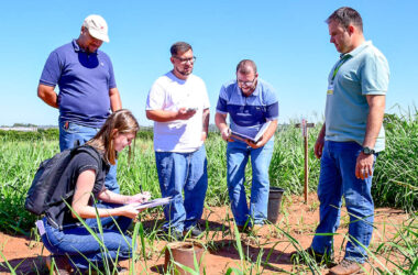 Alunos do curso de Agronomia semipresencial da Unoeste realizam aula prática em campo, analisando solo e fazendo anotações em uma área de cultivo.