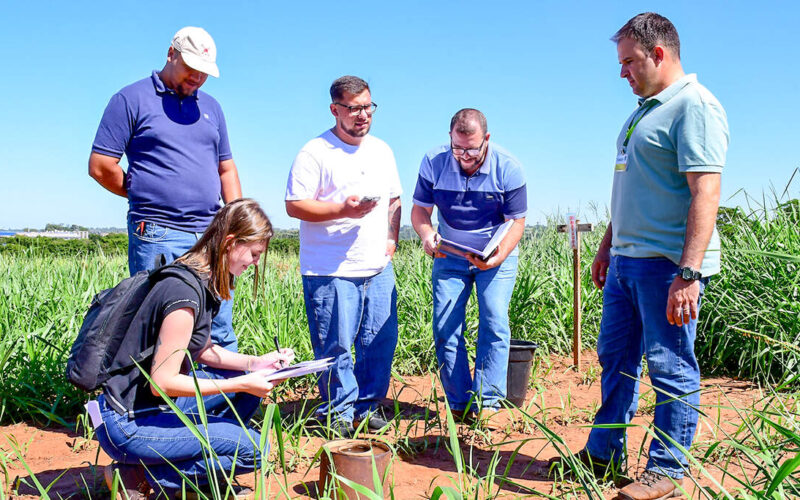 Alunos do curso de Agronomia semipresencial da Unoeste realizam aula prática em campo, analisando solo e fazendo anotações em uma área de cultivo.