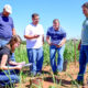 Alunos do curso de Agronomia semipresencial da Unoeste realizam aula prática em campo, analisando solo e fazendo anotações em uma área de cultivo.