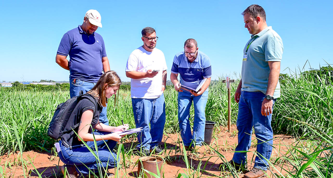 Alunos do curso de Agronomia semipresencial da Unoeste realizam aula prática em campo, analisando solo e fazendo anotações em uma área de cultivo.