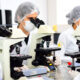 Estudantes da área da saúde utilizando microscópios em laboratório acadêmico, durante aula prática de graduação relacionada às ciências da saúde.