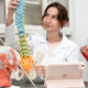 Estudante da área da saúde observa modelo anatômico da coluna vertebral e pelve em laboratório, ilustrando o ambiente de aprendizado do curso de Medicina.