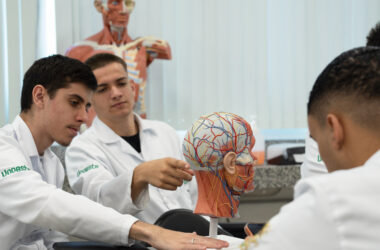 Estudantes de Medicina da Unoeste analisando modelo anatômico do sistema nervoso durante aula prática em laboratório, com foco no estudo do cérebro e das estruturas neurológicas.