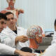 Estudantes de Medicina da Unoeste analisando modelo anatômico do sistema nervoso durante aula prática em laboratório, com foco no estudo do cérebro e das estruturas neurológicas.