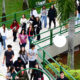 Grupo de estudantes caminhando por uma área externa de campus universitário, em uma passagem com rampas e corrimãos verdes, cercada por árvores e gramado, enquanto conversam e seguem juntos para atividades acadêmicas.