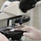 Pessoa utilizando microscópio em laboratório, com luvas, analisando lâmina com amostra para exame de citologia.