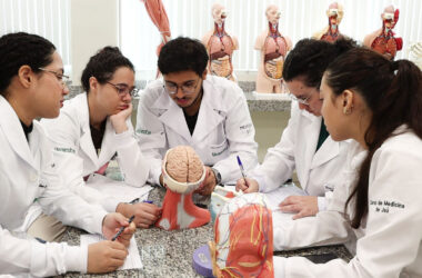 Estudantes do curso de Medicina da Unoeste reunidos em atividade prática de aprendizagem, analisando modelos anatômicos durante dinâmica em grupo em laboratório.