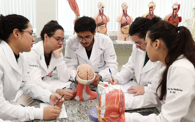Estudantes do curso de Medicina da Unoeste reunidos em atividade prática de aprendizagem, analisando modelos anatômicos durante dinâmica em grupo em laboratório.
