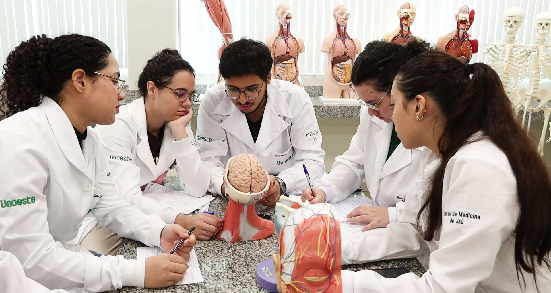 Estudantes do curso de Medicina da Unoeste reunidos em atividade prática de aprendizagem, analisando modelos anatômicos durante dinâmica em grupo em laboratório.